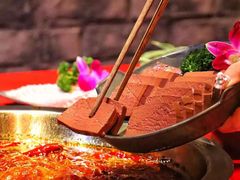 -谭鸭血老火锅(漳州路店)