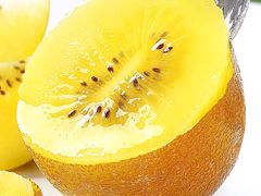 -唐桥水果批发市场