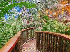 -正佳雨林生态植物园