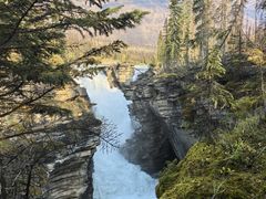 -阿萨巴斯卡瀑布观景点