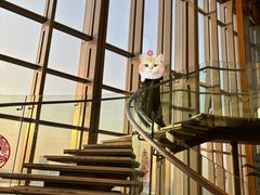 -视界美食自助餐厅·石家庄希尔顿酒店