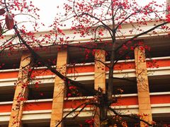 iphone_upload_pic-华南师范大学(广州大学城校区)