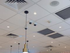 -肯德基(南五店)