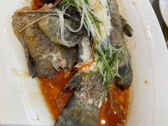 -国惠大酒楼(仓山万达店)