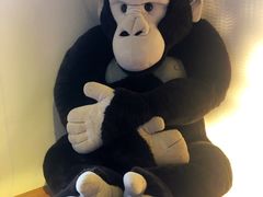 -ZOO COFFEE 动物园咖啡(亦庄店)