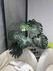 -凡碧诗毛孔清洁收细