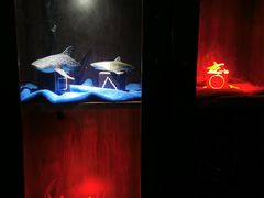 -H次元沉浸剧情密室(街道口店)