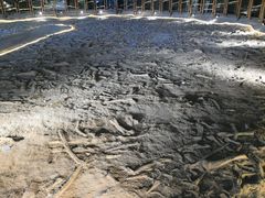 -二连浩特国家地质公园