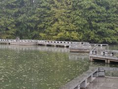 -白塘生态植物园