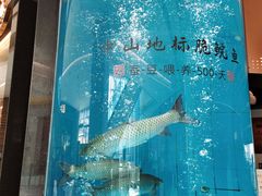 -谭厨中山传家菜.乳鸽.脆鲩鱼(华强北中航城店)