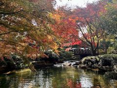 -中国茶叶博物馆(双峰馆区)