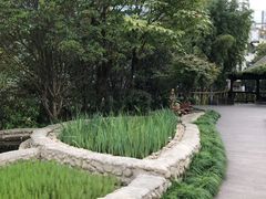 -活水公园