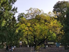 -千佛山风景名胜区