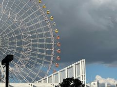 -大阪海游馆