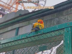 -乐和乐都主题乐园