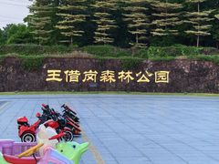 -王借岗森林公园