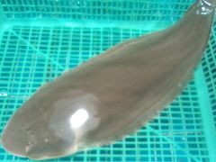 -都斛海鲜街