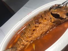 -阿五黄河大鲤鱼(英协路店)