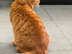 -毒蛇面馆(虹口店)