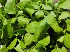 -丫丫汤膳打边炉(宏府408坊店)