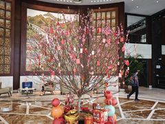 -上海圣淘沙万怡酒店