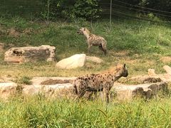 -北京野生动物园