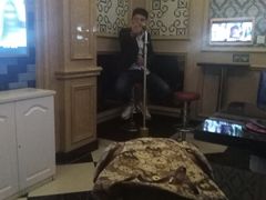 -自由港量贩KTV(西苑路店)