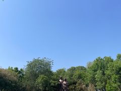 -白洋淀风景区