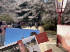 -醍醐寺