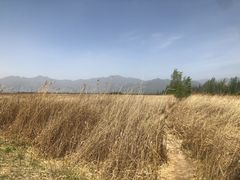 -野鸭湖国家湿地公园