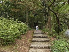 -广州市石门国家森林公园
