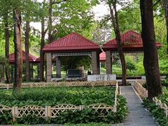 -黑龙江省森林植物园
