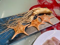 鲜人参锅底-千岛蚝高压锅生蚝·人参火锅(白云万达店)