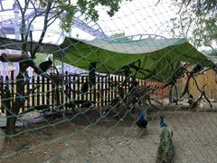 -国色天乡三期陆地乐园