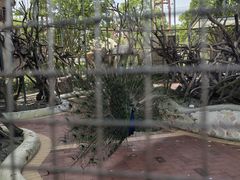-国色天乡三期陆地乐园