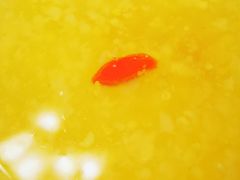 -少林寺欢喜地素斋馆