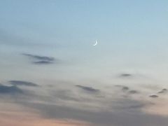 -哈密回王府景区