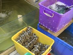 -蟹天蟹地农家菜·阳澄湖大闸蟹(浅水湾店)