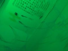 -MOJO密室逃脱(中街旗舰店)