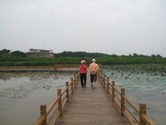 -大湾区中央湿地公园