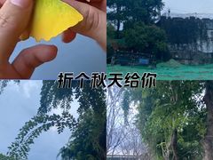 -百威年二手车市场(龙井路店)