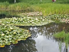 -清溪水库