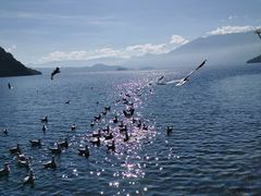 -丽江泸沽湖景区