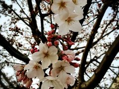 -咸宁万豪温泉谷度假区