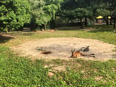 -宁波野生动物园