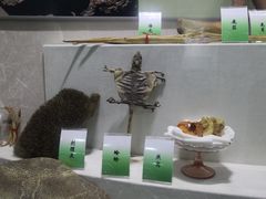 -广东中医药博物馆