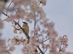 -永乐路-路侧停车场