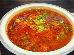 -陈麻婆豆腐(旗舰店)