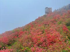 -瑞安圣井山景区