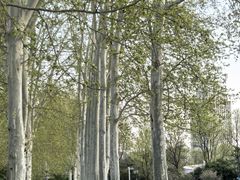 -河南省黄河迎宾馆